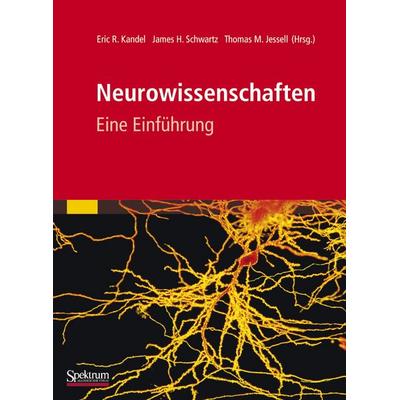 Neurowissenschaften, Taschenbuch von Eric Kandel,James Schwartz,Thomas Jessell, Spektrum der Wissenschaft, 978-3-8274-2905-6