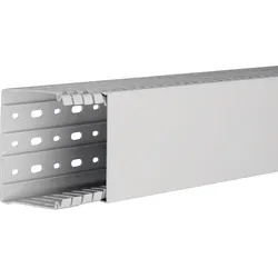 Hager HA780100 Verdrahtungskanal halogenfrei HA7 80x100mm lichtgrau  - 2 Meter
