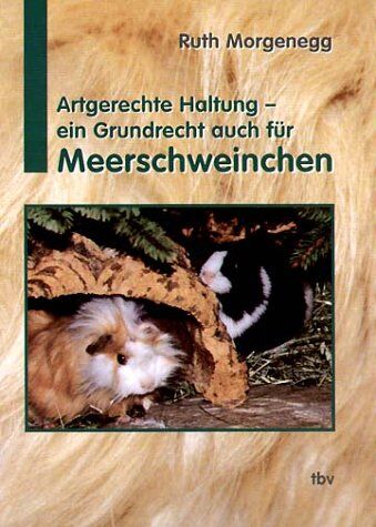 Ruth Morgenegg - Artgerechte Haltung, ein Grundrecht auch für Meerschweinchen - Preis vom 30.09.2026 09:01:18 h