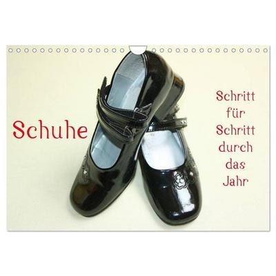 Schuhe - Schritt für Schritt durch das Jahr (Wandkalender 2026 DIN A4 quer), CALVENDO Monatskalender