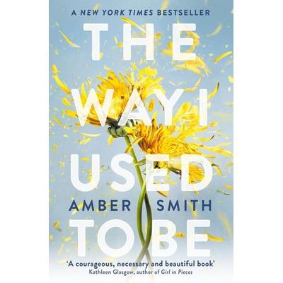 The Way I Used to Be, Taschenbuch von Amber Smith, Oneworld Publications