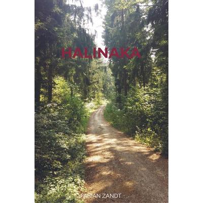 Halinaka, Taschenbuch von Fabian Zandt, Bookmundo Direct, 978-94-6398-413-3