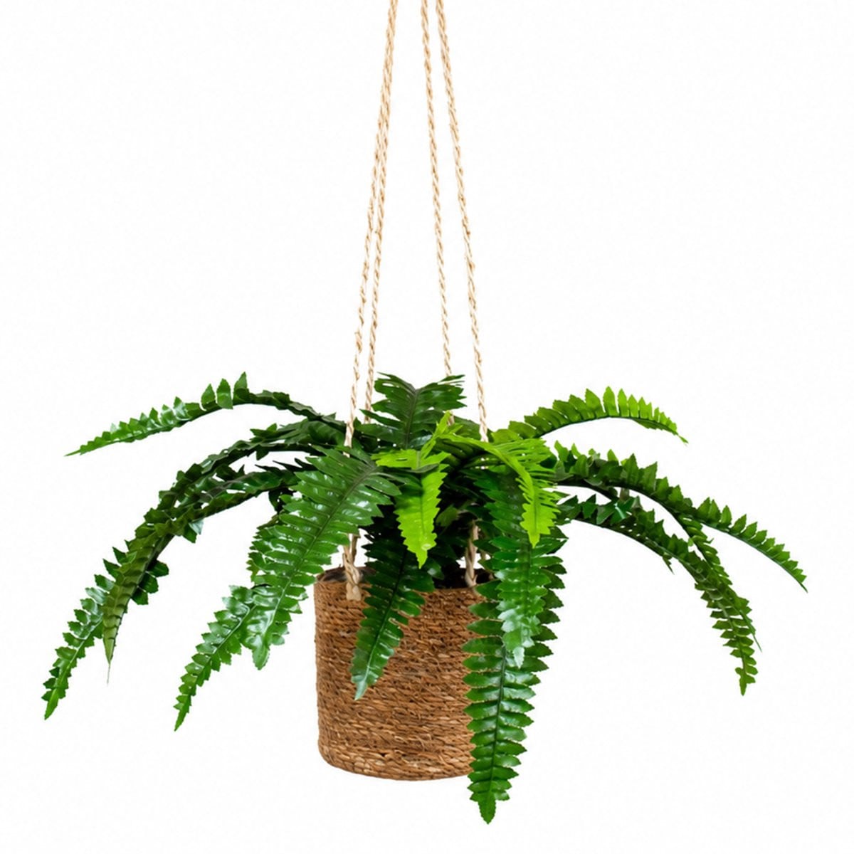 Kunstplant Nephrolepis Varen in hangmand naturel L100cm