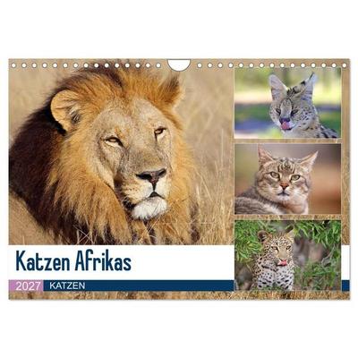 Katzen Afrikas (Wandkalender 2027 DIN A4 quer), CALVENDO Monatskalender