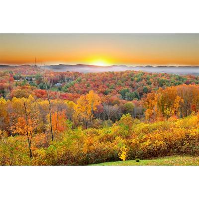 Fototapete PAPERMOON "Waldlandschaft", bunt, B:2,5m L:1,86m, Vlies, Tapeten