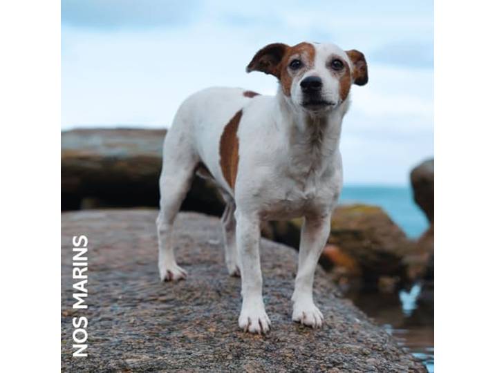 Nos Marins (LP)