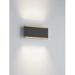 Helestra KOBE LED Wandleuchte 11 W 840 lm 2700 K Warmweiß CASAMBI Smart 22,5 cm Schwarz-Gold