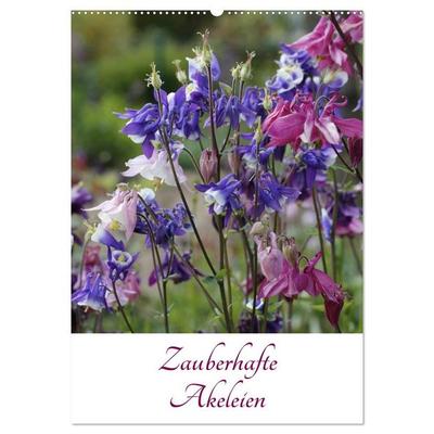 Zauberhafte Akeleien (Wandkalender 2026 DIN A2 hoch), CALVENDO Monatskalender