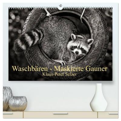 Waschbären - Maskierte Gauner (hochwertiger Premium Wandkalender 2027 DIN A2 quer), Kunstdruck in Hochglanz