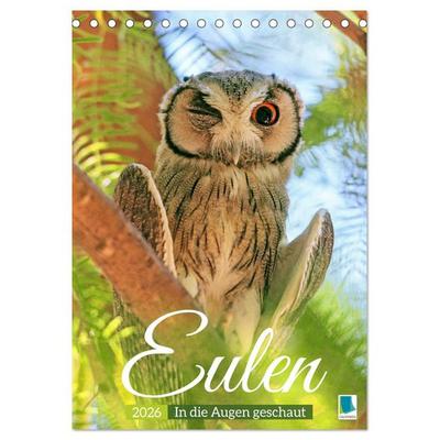 Eulen: In die Augen geschaut (Tischkalender 2026 DIN A5 hoch), CALVENDO Monatskalender