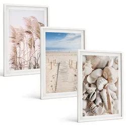 BILDER SET 3er Set - 40x60 cm Weißer Rahmen - Strandmuscheln Seegras