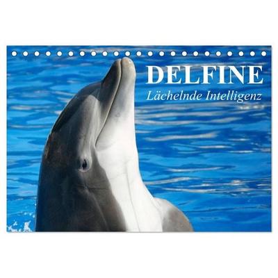 Delfine - Lächelnde Intelligenz (Tischkalender 2027 DIN A5 quer), CALVENDO Monatskalender