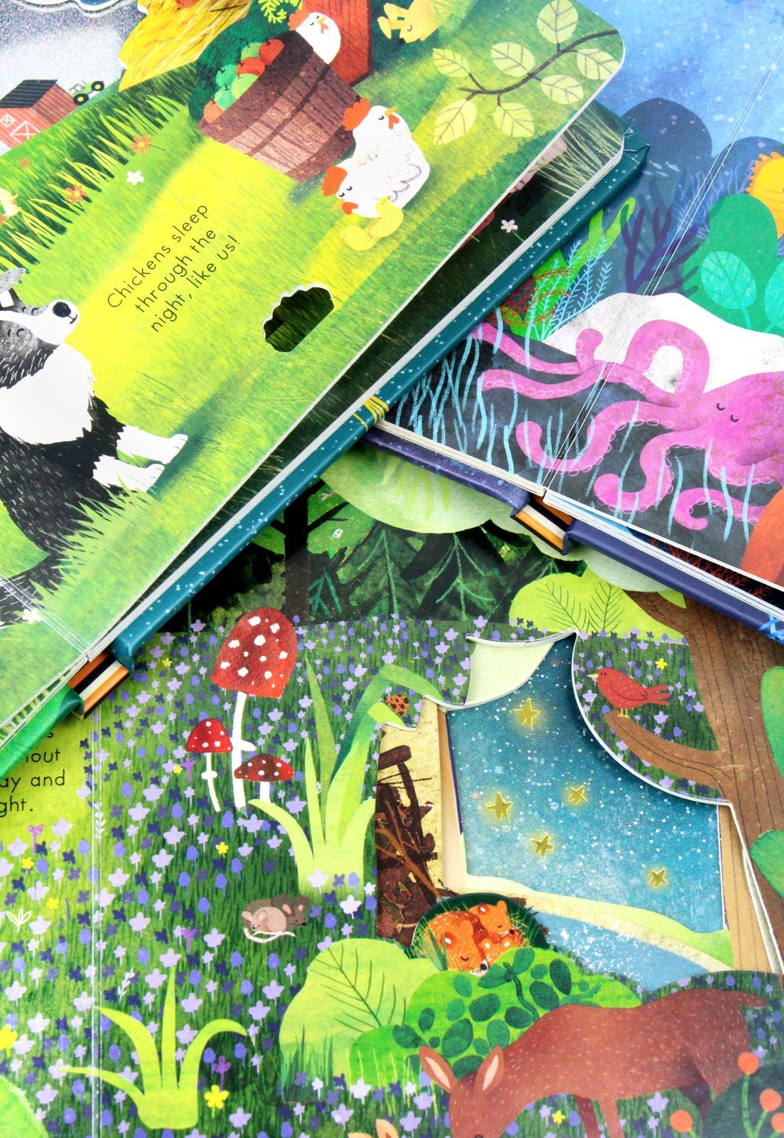 Little Tiger Press Peep Inside Goodnight World Little Explorers 3 Books Collection Box Set (Goodnight Farm, Goodnight Forest, Goodnight Ocean)