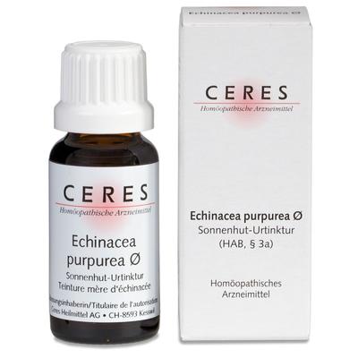 Ceres Echinacea purpurea Urtinktur 20 ml Tropfen
