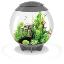 biOrb HALO 60 MCR grau (72045)
