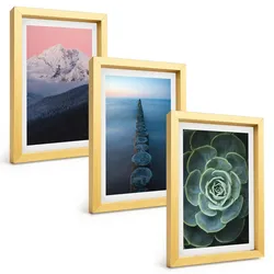 BILDER SET 3er Set - 20x30 cm Goldrahmen - Berge, rosa Himmel, Wasser, Sukkulente