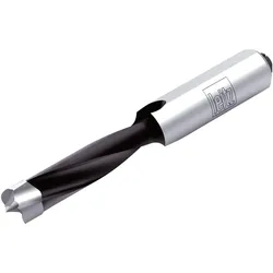 Leitz, Bohrereinsatz, Premium Dübelbohrer DM 8x70 mm / Schaft: 10x30 mm abgeflacht - rechts