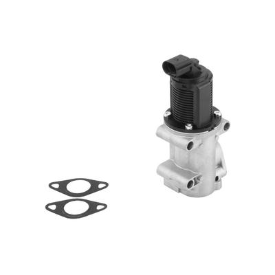 BORGWARNER AGR-Ventil 710963R für GM