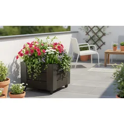 Pflanzkübel Cubic Klein - Blumenkübel aus Kiefer/Fichte, schwarz oder graubraun - quadratischer Pflanztrog - idealer Blumentrog für Garten & Balkon