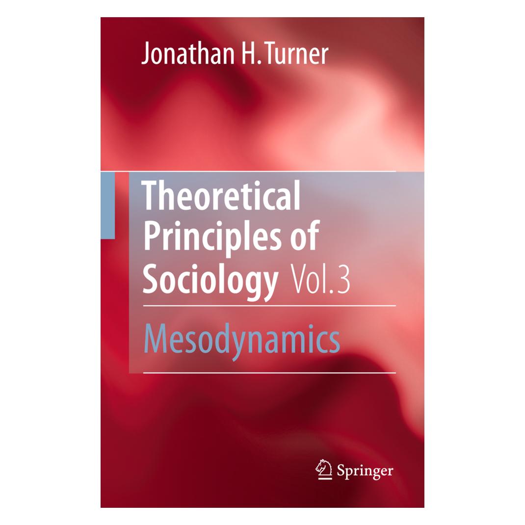 Springer Theoretical Principles of Sociology, Volume 3 (Englisch, Softcover, Jonathan H. Turner) (55556140)