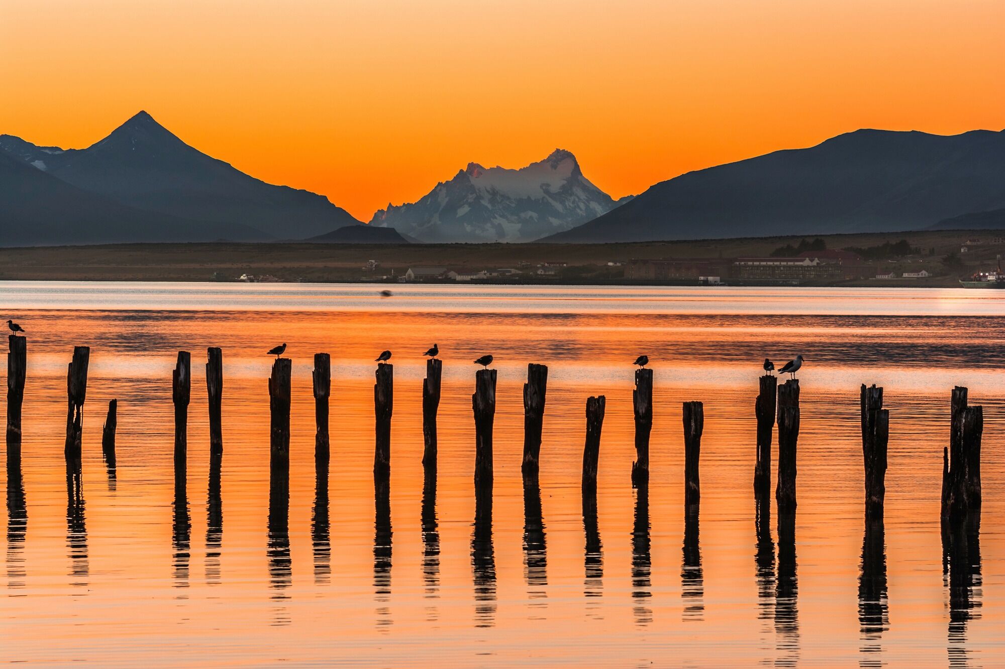 Fototapete PAPERMOON "PUERTO NATALES-CHILE SEE GEBIRGE BLUMEN SONNE WALD STEG", bunt, B:1,5m L:1,11m, Vlies, Tapeten, Fototapete bunt B/L: 1,5m x 1,11m, Bahnen: 7 Stk.