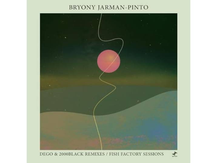 Dego & 2000Black Remixes / Fish Factory Sessions