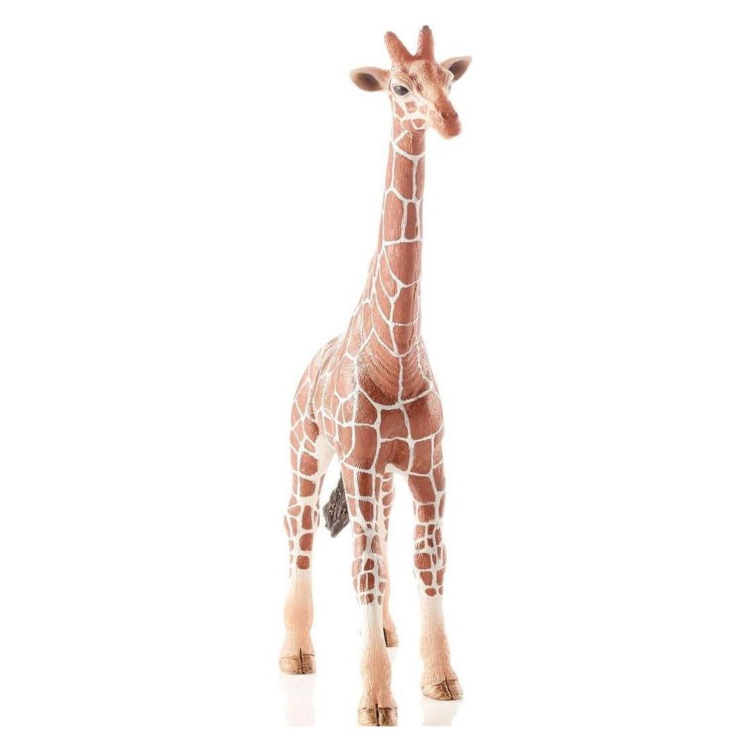 Schleich Giraffe Bull (19177)
