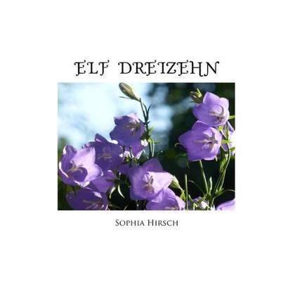 Elf Dreizehn, Taschenbuch von Sophia Hirsch, Epubli, 978-3-7450-2106-6