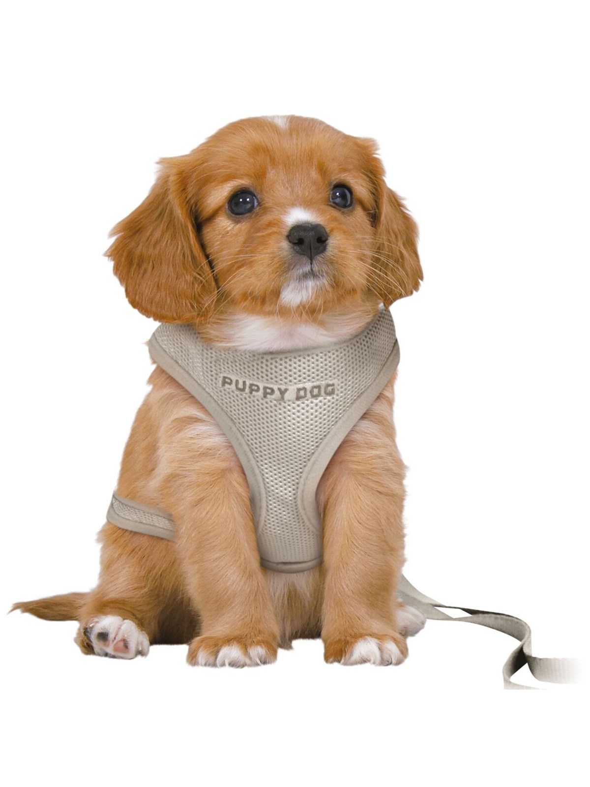 Trixie Junior Puppy Softgeschirr mit Leine Größe S-M Bauchumfang 26-34cm