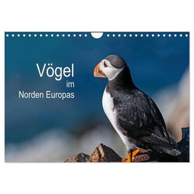 Vögel im Norden Europas (Wandkalender 2026 DIN A4 quer), CALVENDO Monatskalender