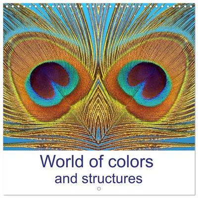 World of colors and structures (Wall Calendar 2027 12 × 12 Inch) CALVENDO 12 Month Wall Calendar