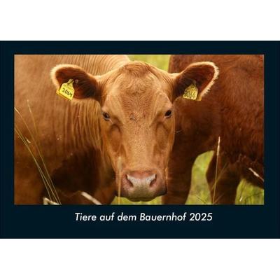Tiere auf dem Bauernhof 2025 Fotokalender DIN A4