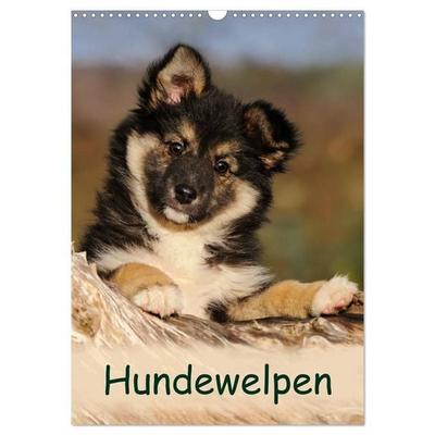 Hundewelpen (Wandkalender 2027 DIN A3 hoch), CALVENDO Monatskalender