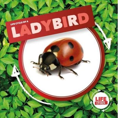 Ladybird, Gebundene Ausgabe von Kirsty Holmes, BookLife Publishing, 978-1-78637-936-8