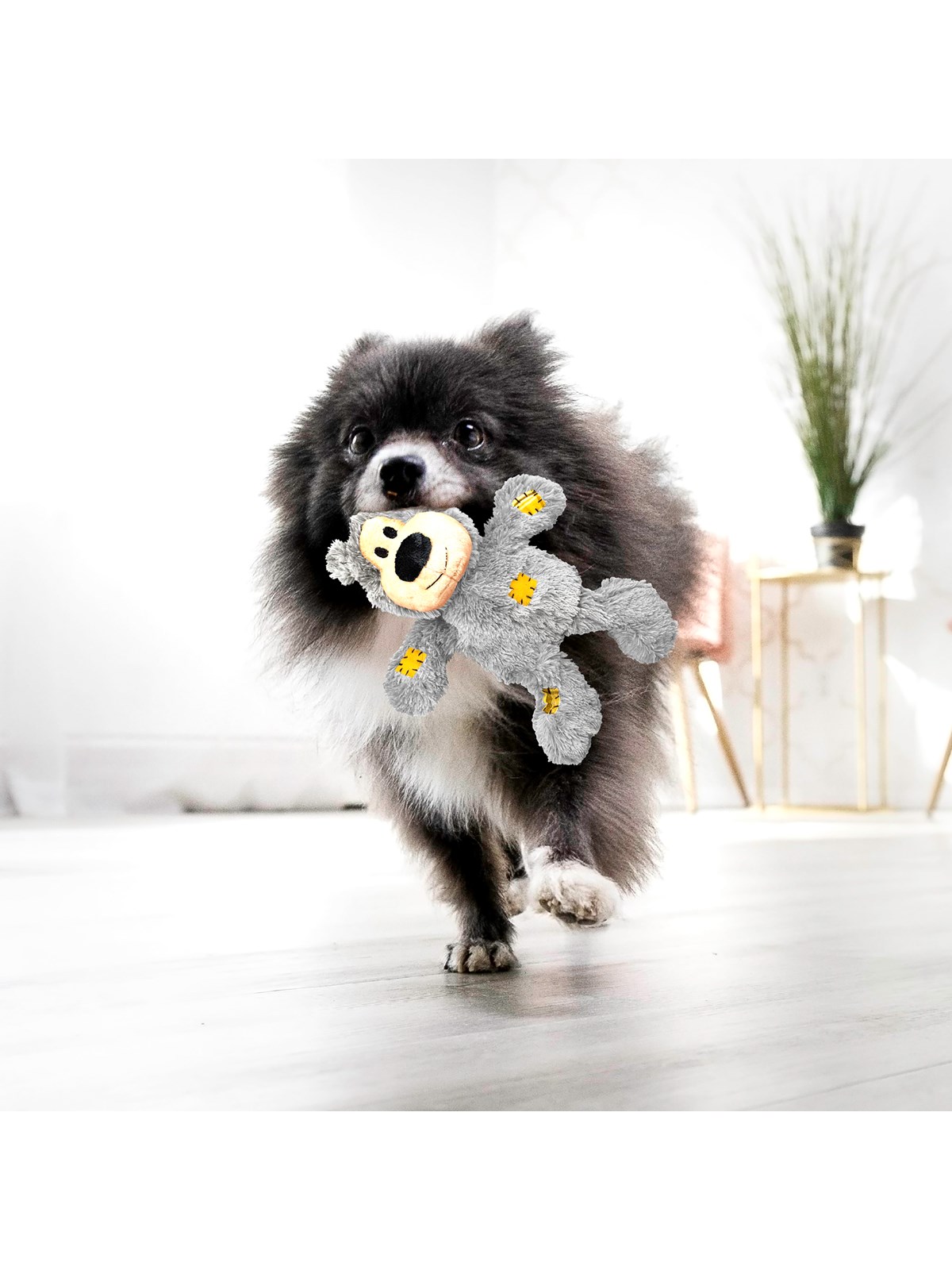KONG Hundespielzeug Wild Knots Bear Verschiedene Farben XS 10cm