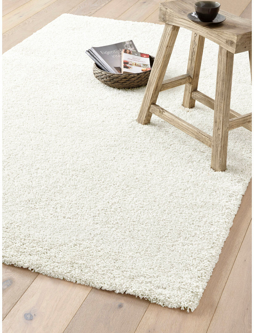 17 Stories Balroop Rectangle Shaggy Area Rug White Rectangle 200cm x 290cm