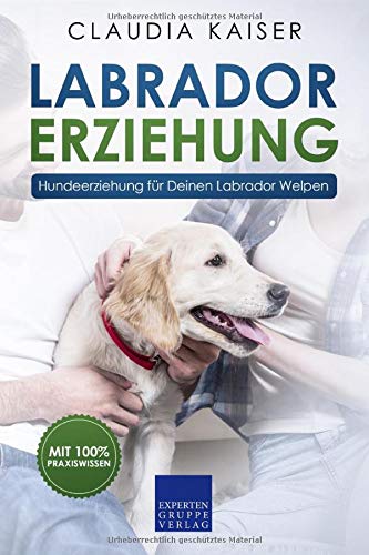 Claudia Kaiser - Labrador Erziehung: Hundeerziehung für Labrador Welpen (Labrador Band, Band 1) - Preis vom 13.10.2026 19:28:25 h
