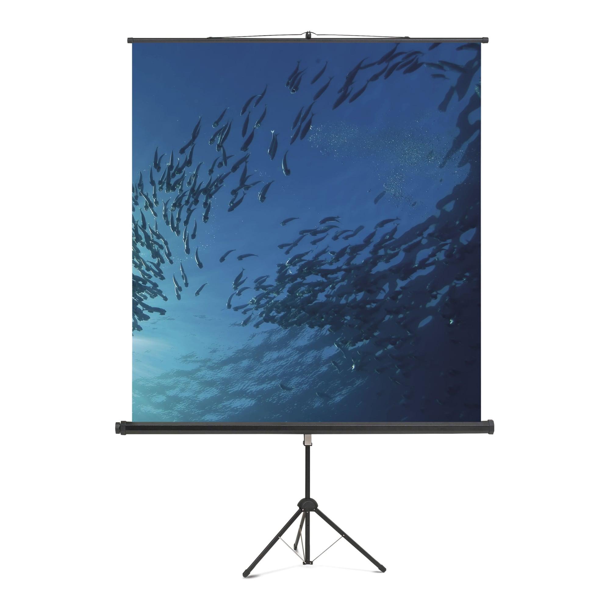 Magnetoplan Stativ Leinwand Standard, 1500 x 1500 mm (6100112)