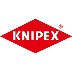 Monierzange L.250mm glanzverzinkt KNIPEX