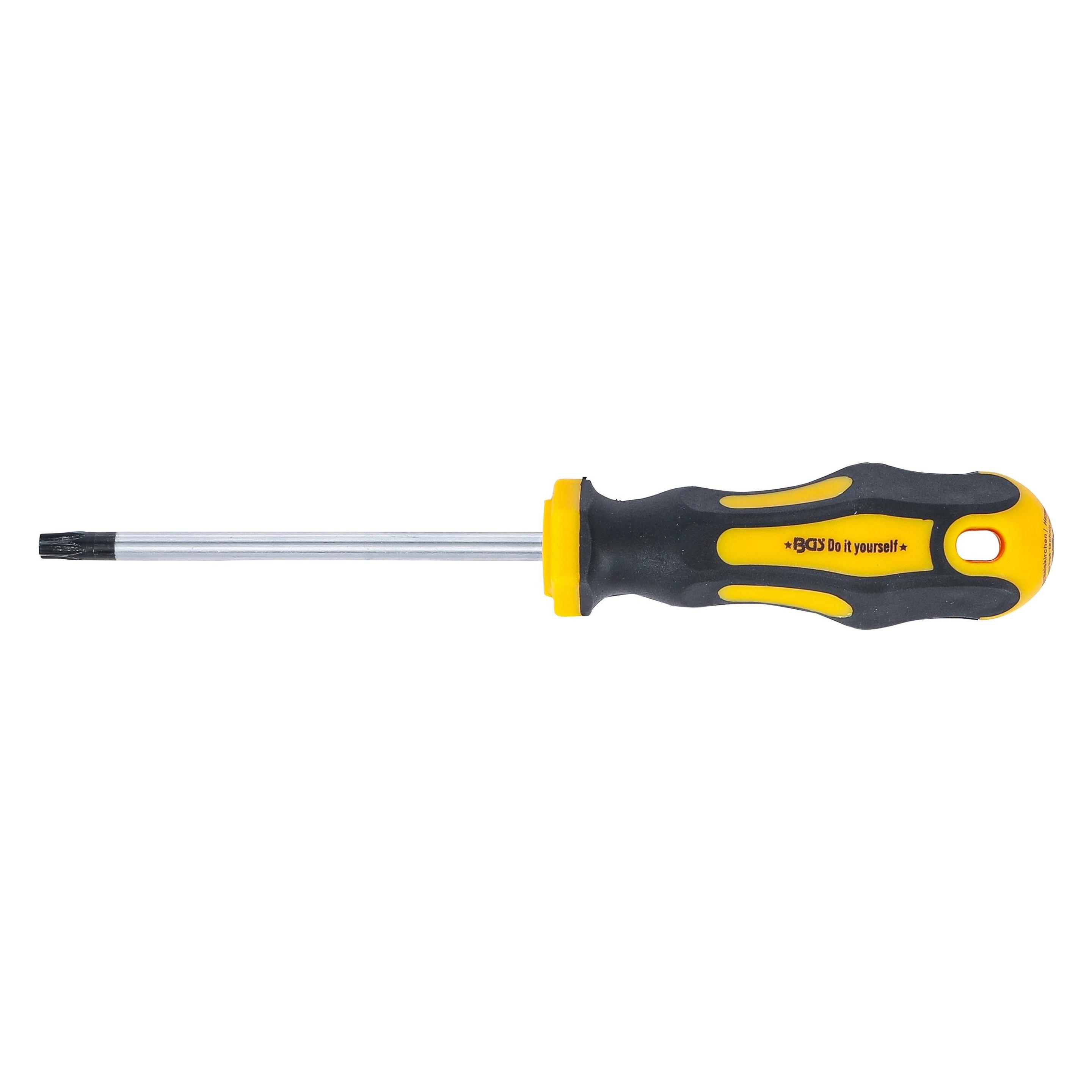BGS Schraubendreher T-Profil (für Torx) T30 Klingenlänge 100 mm (7844-T30)