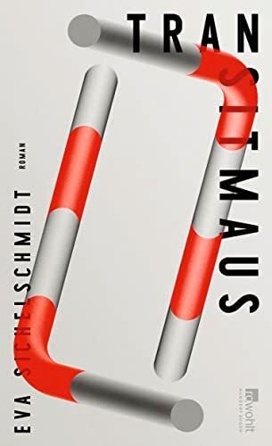 Eva Sichelschmidt - Transitmaus: Ein Roman aus den letzten Tagen West-Berlins - Preis vom 11.10.2026 15:43:13 h