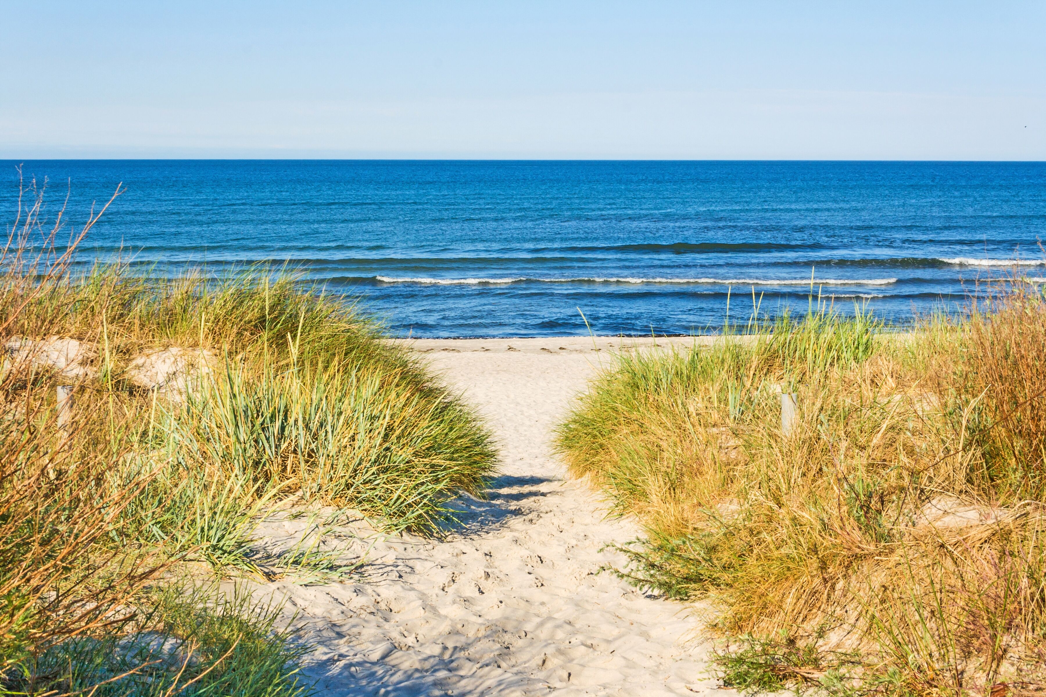 Fototapete PAPERMOON "Beach Access", bunt, B:3m L:2,23m, Vlies, Tapeten, Fototapete bunt B/L: 3m x 2,23m, Bahnen: 6 Stk.