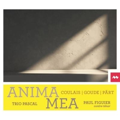 Anima Mea - Trio Pascal Paul Figuier, CD