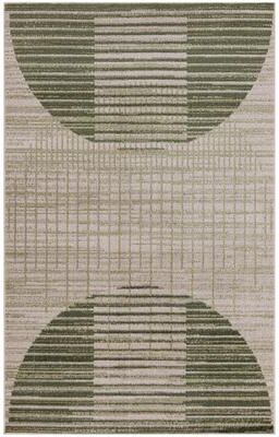 Nourison Astra Machine Washable Indoor Only Graphic Area Rug