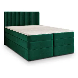 BOXSPRINGBETT FELBIO 140x200 cm mit Matratze und Topper - Grün