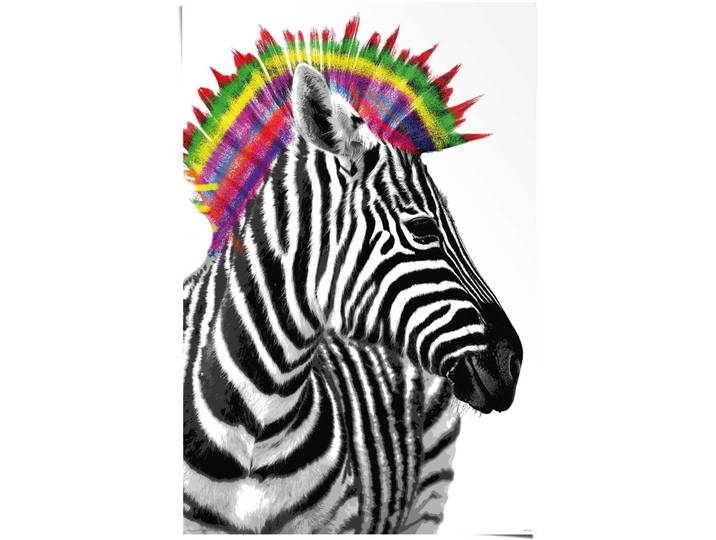 Poster REINDERS Zebra Punk , schwarz (farbe bild(er): schwarz), B:61cm H:91,5cm, Papier, Bilder, Poster