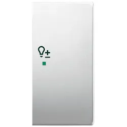 Wippe 2-fach rechts, Symbol "Dimmer", pur Edelstahl