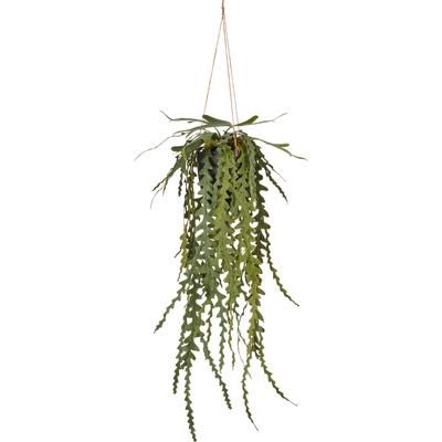 Kunstpflanze CREATIV GREEN "Epiphyllumhänger", grün, H:91cm, Obermaterial: 100% Kunststoff, Kunstpflanzen, Kunstpflanze, im Hängetopf