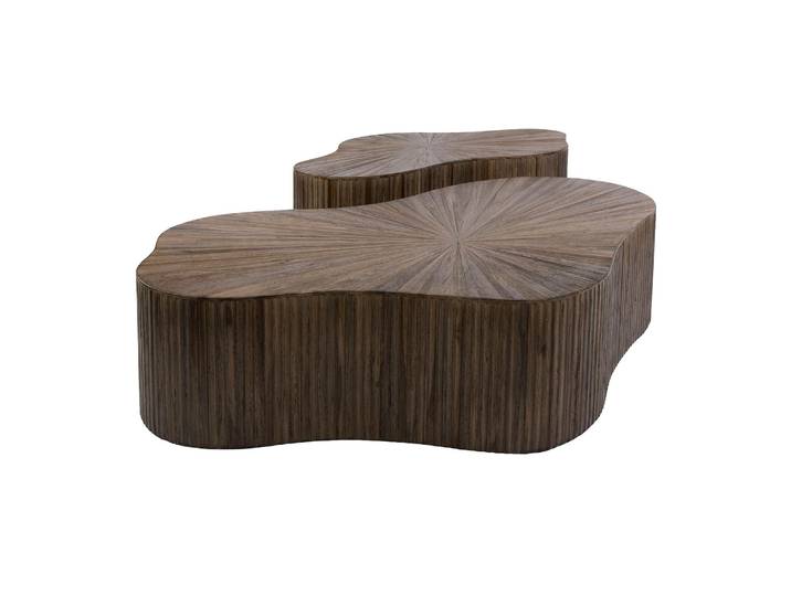 Clemento Maya Teak Couchtisch organisch