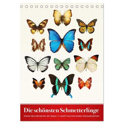 Die schönsten Schmetterlinge (Tischkalender 2026 DIN A5 hoch), CALVENDO Monatskalender